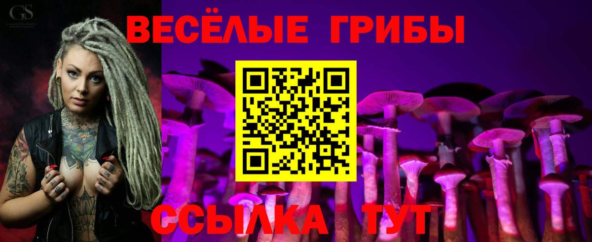 Псилоцибиновые грибы Psilocybe  Вход с VPN  Лиски 